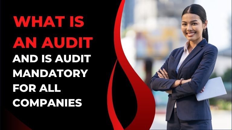 What is an Audit and Is Audit Mandatory for All Companies